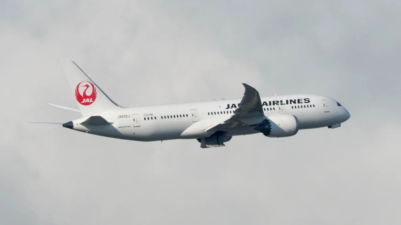 A Japan Airlines Boeing 787 in flight over Taipei